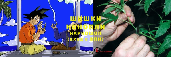 ПСИЛОЦИБИНОВЫЕ ГРИБЫ Балахна