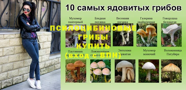 стафф Баксан