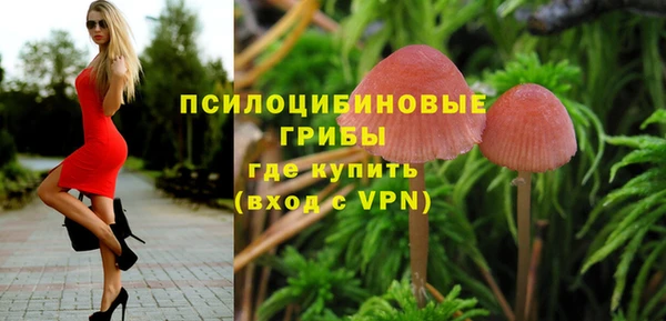 ПСИЛОЦИБИНОВЫЕ ГРИБЫ Балахна