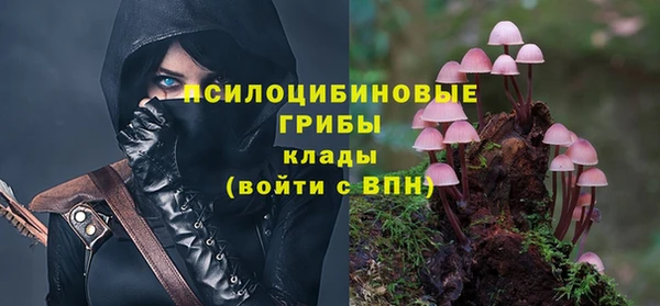 ПСИЛОЦИБИНОВЫЕ ГРИБЫ Балахна