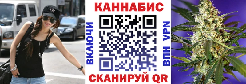 Каннабис MAZAR  Куровское 